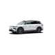 Leap Motor C11 DM, 300 Exclusive, пробіг 17,5 тисяч км